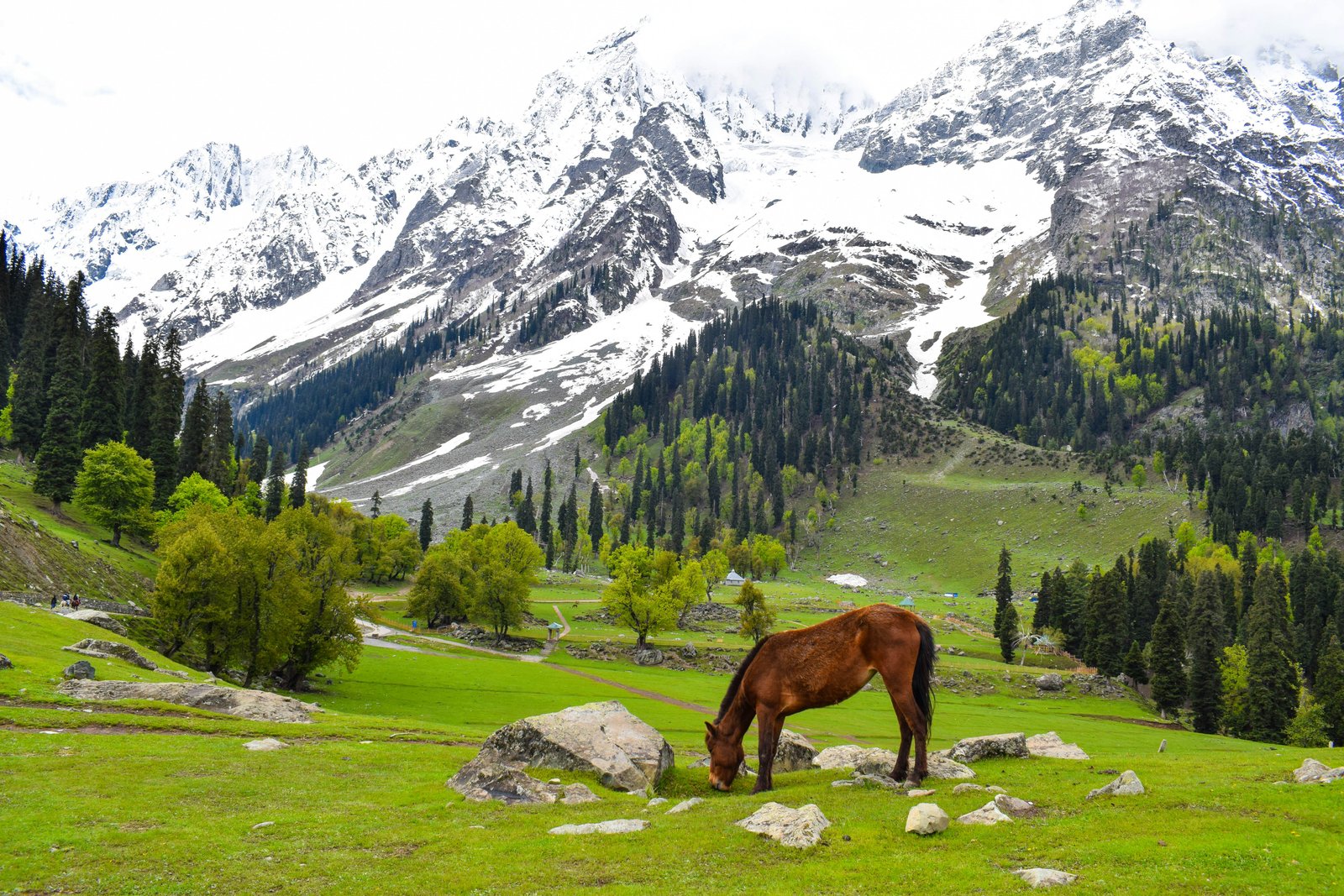 Sonmarg